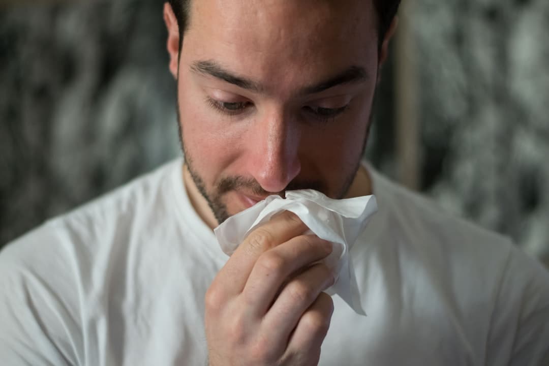 Seasonal Allergy Relief: Practical TCM Support for Spring and Fall